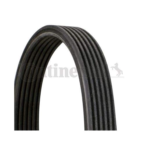 CONTITECH Pasek klinowy wielorowkowy 6DPK1697