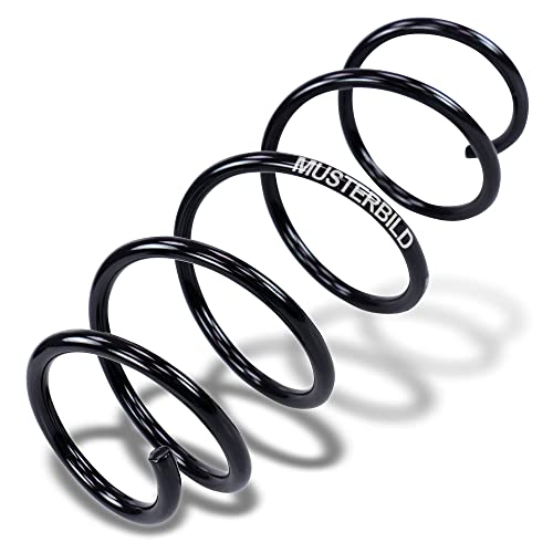 BILSTEIN SPRĘŻYNA ZAWIESZENIA ANTARA BI 36-252923