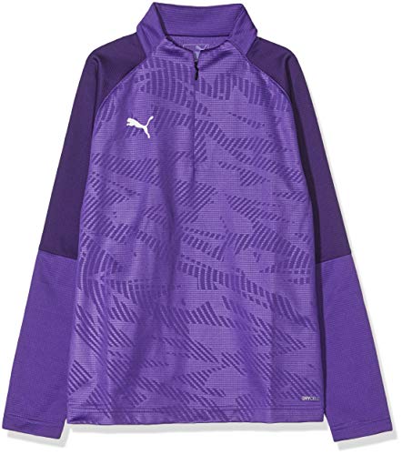 Puma Cup Training 1/4 Zip Core Jr bluza chłopięca fioletowy Prism Violet-parachute Purple 116