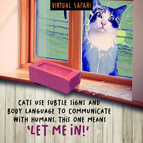 Virtual Safari 'Let Me In', Otwórz, Kartka z życzeniami, 163 x 163 mm VR2445