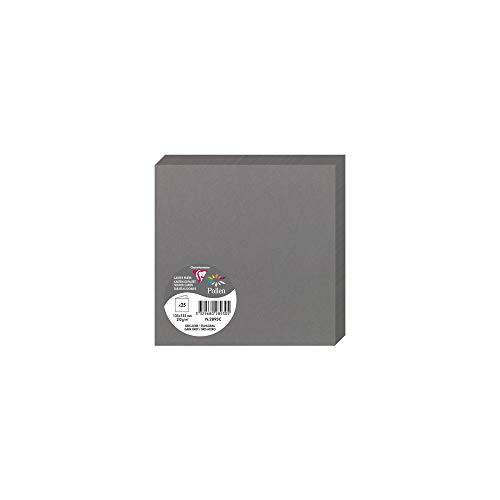 Clairefontaine 2893C opakowanie (z 25 podwójnymi płatkami, składane, 135 x 135 mm) 210 g, ciemnoszary 2893C