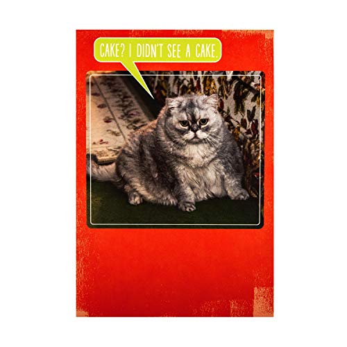 Hallmark Kartka urodzinowa z humoru od The Hallmark Studio - projekt fotograficzny