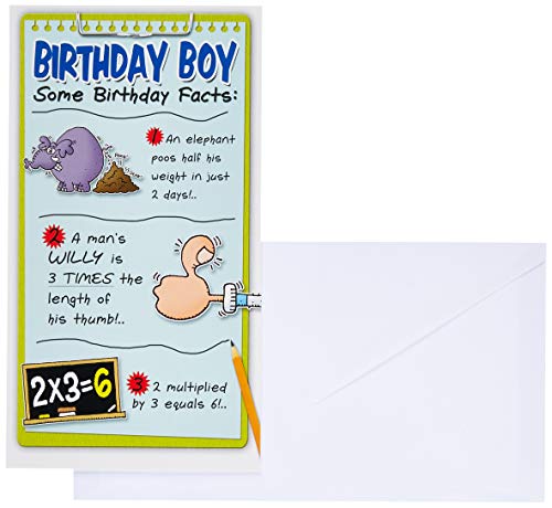 Emotional Rescue Fakty, urodziny, kartka z życzeniami, 130 x 235 mm FH1580