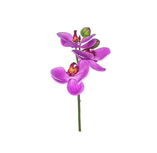 EUROCINSA Ref.86043C63 mini orchidea Purpura, pudełko z 12 sztukami, lawenda, 23 cm