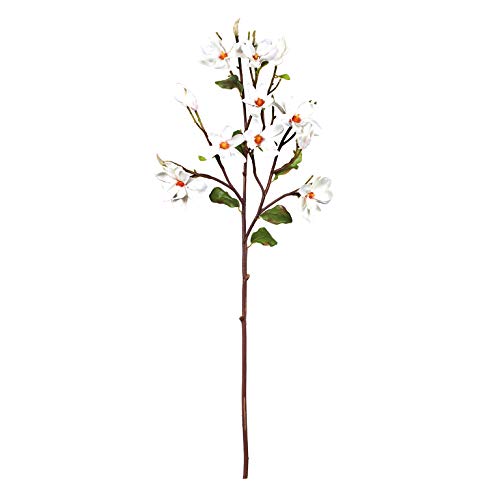 EUROCINSA Ref.23471C01 Magnolia biała, pudełko z 6 sztukami, 90 cm