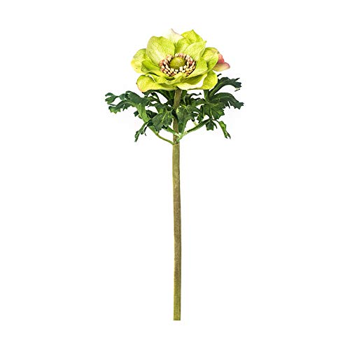 EUROCINSA Ref.57371C51 Anemona Claro, pudełko z 12 sztuk, białe, zielone, 39 cm