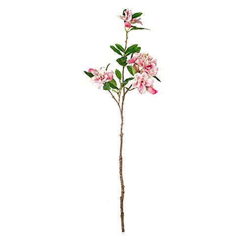 EUROCINSA Ref.41500C21 AZALEA BELGA ROSA, pudełko 12 sztuk, 70 cm