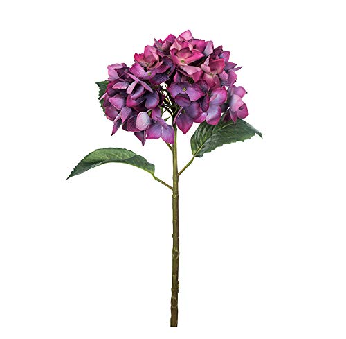 EUROCINSA Ref.71802C63 HORTENSIA naturalna czystość, pudełko z 12 sztukami, lawenda, 50 cm
