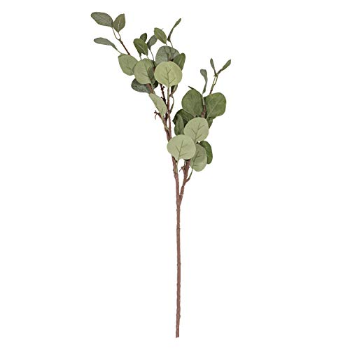 Gałąź Aufora, zielony, jeden rozmiar