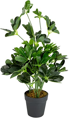 Leaf Sztuczny Kaktus w Doniczce, Zielony, 75cm