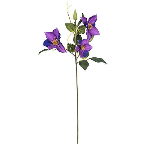 EUROCINSA Ref.12007C63 CLEMATIS, pudełko 12 szt, lawenda, 60 cm