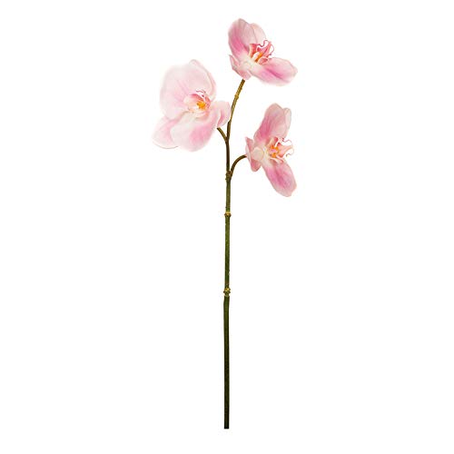 EUROCINSA Ref.57824C21 ORCHIDEA PHALAENOPSIS ROSA, pudełko 12, 57 cm