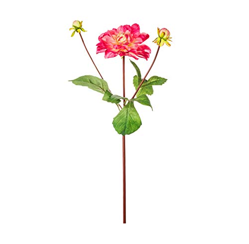 EUROCINSA Ref.78330C25 DALIA Z 2 CAPUL FUCSIA - kość słoniowa, 12 szt, 38 cm