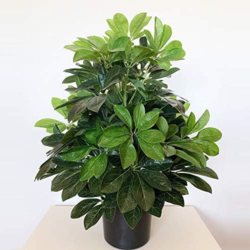 Wellhome Sztuczna roślina Ficus zielona 60 cm wysokości z doniczką