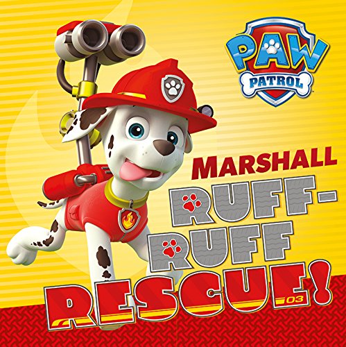 Pyramid Posters Paw Patrol Marshall - obraz na płótnie 30x30 WDC91377