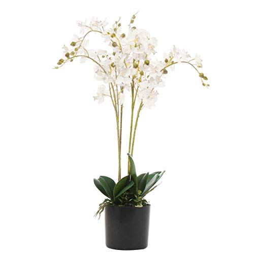 Leaf 60 cm – potrójna łodyga luksusowa realistyczna sztuczna orchidea – biała