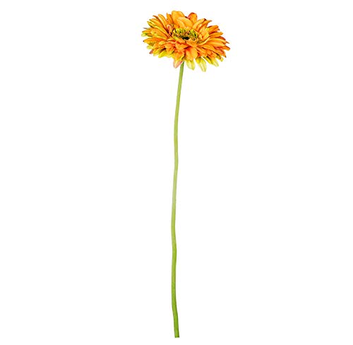 EUROCINSA Ref.60150C43 Gerbera Daysi pomarańczowo-zielone, pudełko 12 sztuk, 47 cm