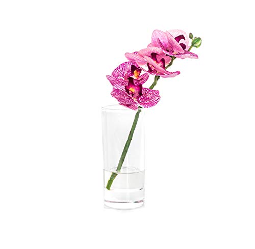 EUROCINSA Ref.86032C25 układ orchidei PHALAENOPSIS FUCSIA z żółtym pudełkiem, tworzywo sztuczne, szkło, 13 x 27 cm