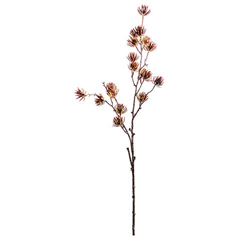 EUROCINSA Nr 21021C72 CIPRES gałązka, pudełko 12 sztuk, brązowy, beżowy, 91 cm