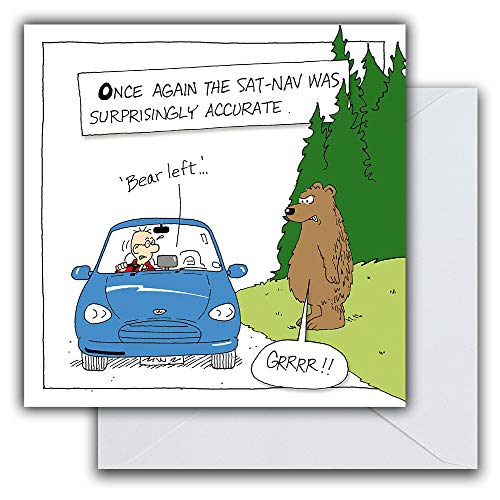Emotional Rescue Niedźwiedź lewy, zabawny, humor, urodziny Sat-Nav, kartka z życzeniami, 163 x 163 mm, kartka urodzinowa dla niego NL1767