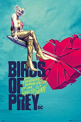 Birds Of Prey Broken Heart - plakat 61x91,5 cm