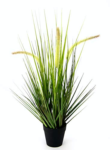 Flair Flower sztuczna trawa lisi ogon w doniczce, sztuczna trawa, zielona, 52 cm