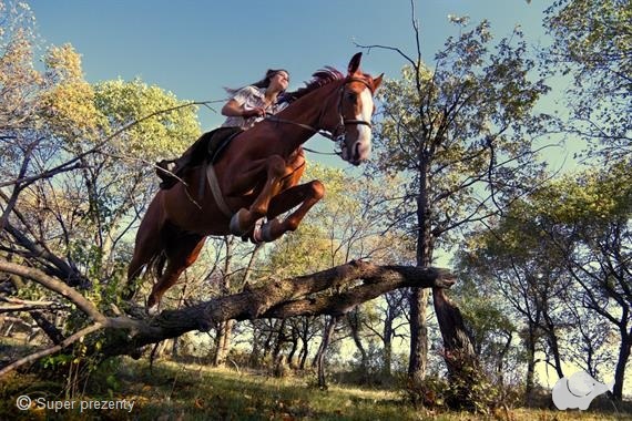 Farma pony Nauka jazdy konnej