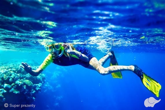 Bestdivers Nurkowanie dla dzieci - Komando Foki