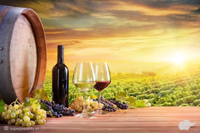 Zwiedzanie Winnicy Dwórzno z degustacją i winami w prezencie