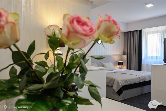 Teodorka med&spa Odpoczynek w Hotelu Teodorka w Ciechocinku