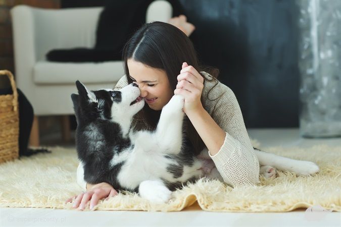 Ekursy365 Zostań Behawiorystą Psów - kurs online