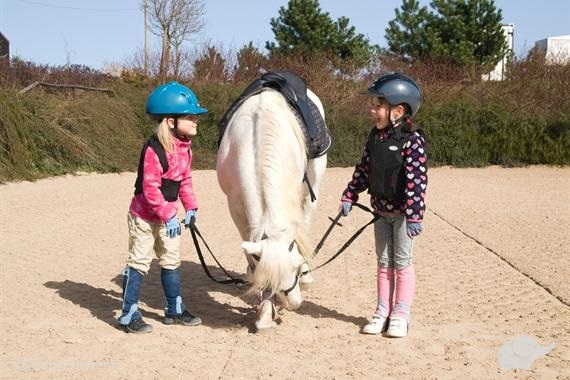 Farma pony Nauka jazdy konnej dla dzieci