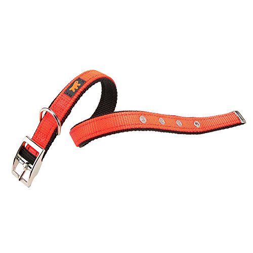 Ferplast 75169039 Hundehalsband Dual Cf25/45 Colours, Halsumfang: 37-45 Cm, Breite: 2,5 Cm, Orange