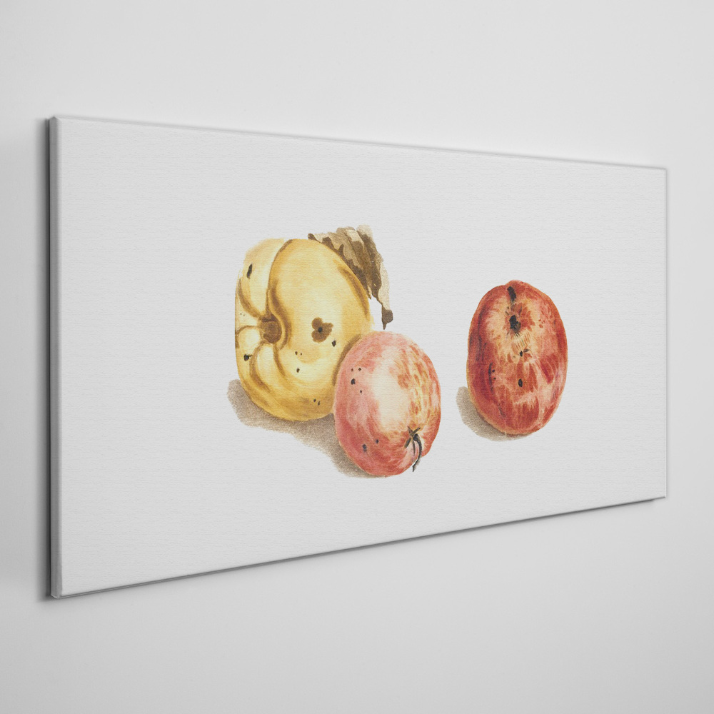 Obraz Canvas Owoce Jabłka 120x60cm