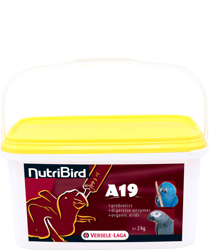 Versele-Laga VERSELE LAGA NutriBird A19 3kg pokarm do ręcznego karmienia piskląt 47513-uniw