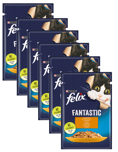 Purina Felix Kurczak w galaretce saszetka 100g 47709-uniw