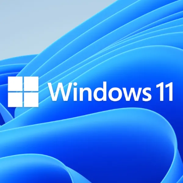 Windows 11 Pro 64bit