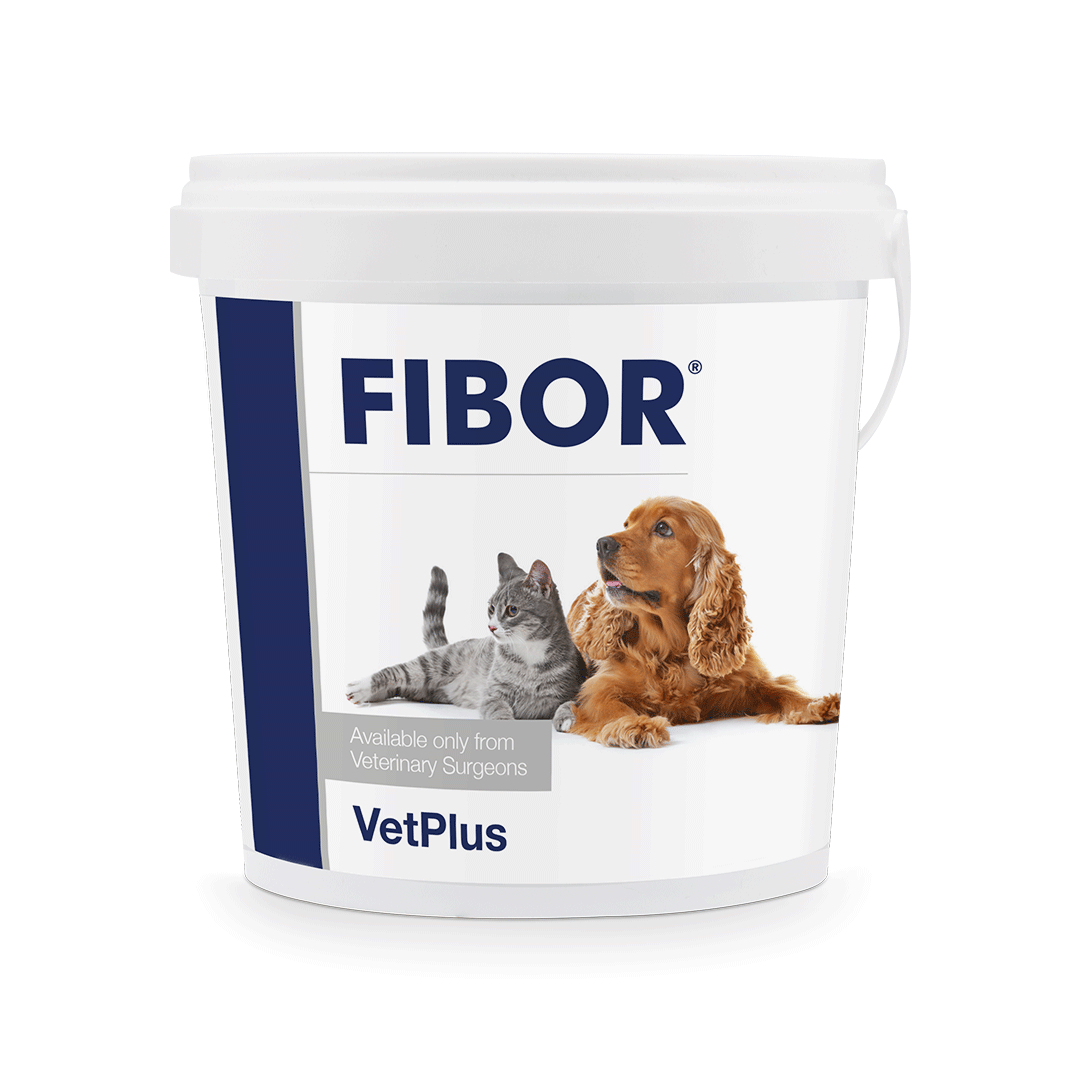VetPlus FIBOR pies/kot wsparcie przewodu pokarmowego 500g