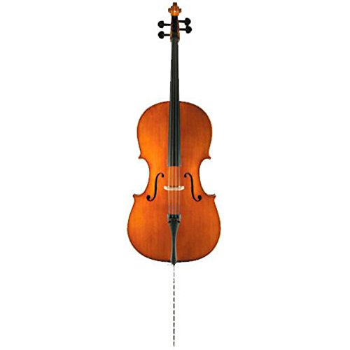 Alvarez AGB C/F etui do gitary