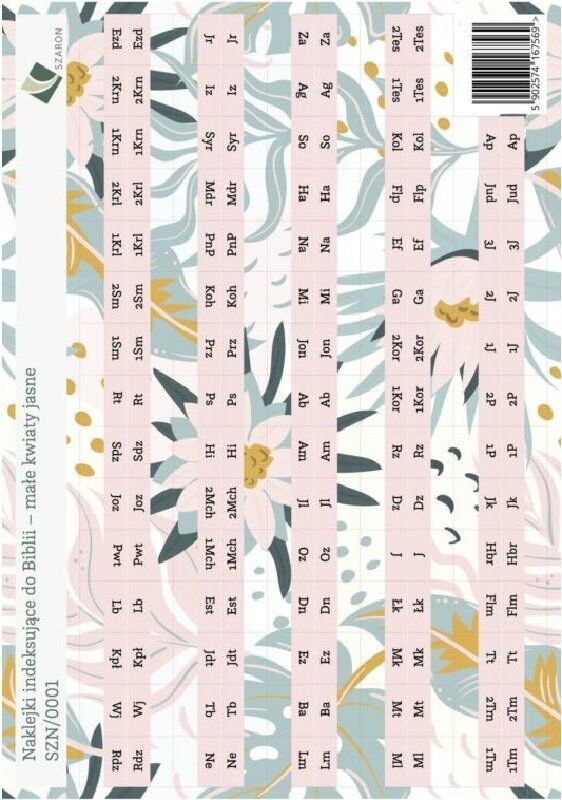 Szaron Paginatory małe - kwiaty jasne 01 5902574167569