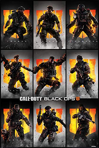 Plakat PYRAMID INTERNATIONAL Call Of Duty: Black Ops 4 (CHARACTERS)