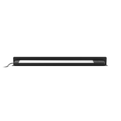 Philips Hue Outdoor Amarant Floodlight 915005843401