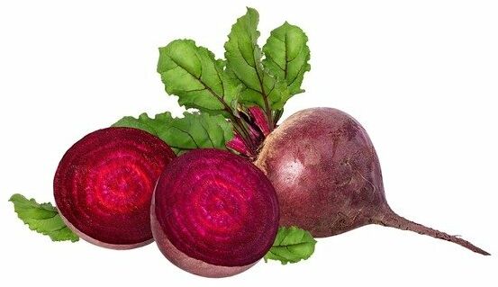 EQUIHERBS Burak ćwikłowy 0,5 kg