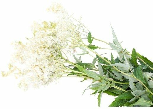 EQUIHERBS Wiązówka błotna 0,5 kg