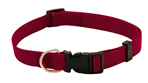 Croci C5Mz0300 Nylonhalsband Stufenlos Verstellbar, 16 Mm, Rot