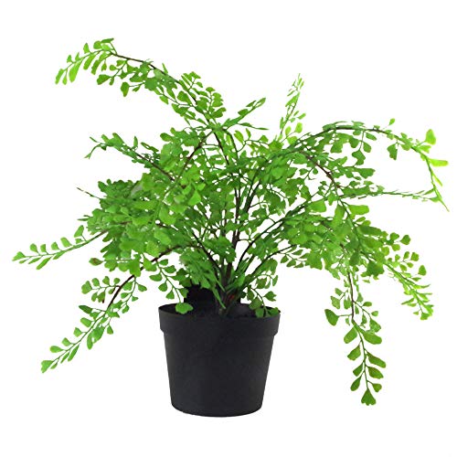 Leaf Mini sztuczna paproć w doniczce, 35 cm, paproć Maidenhair z tworzywa sztucznego