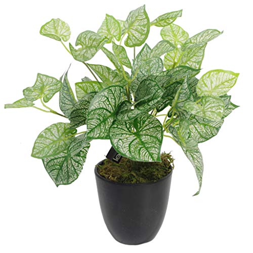 Leaf 40 cm sztuczna roślina kaladium z doniczką