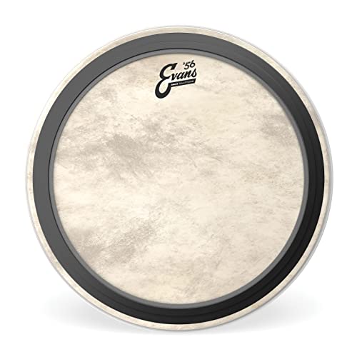 Evans evans tt16em adct Tom sierść drum Head TT16EMADCT