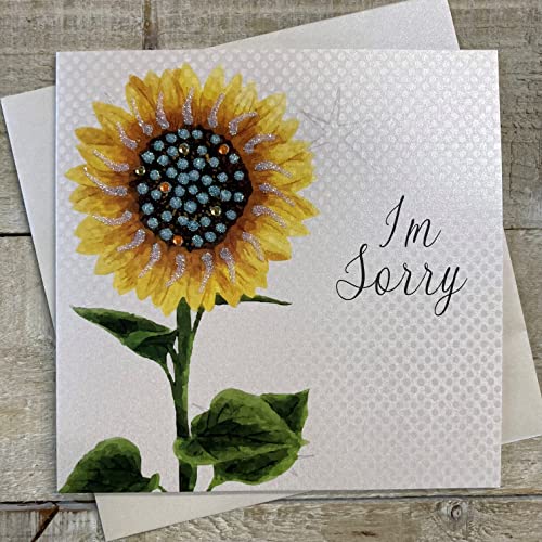 white cotton cards Ręcznie wykonana 'I'm Sorry' słonecznik, biała, PD253