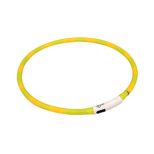 Croci C5020255 Kragen Visible Led Mit Usb, 40 Cm